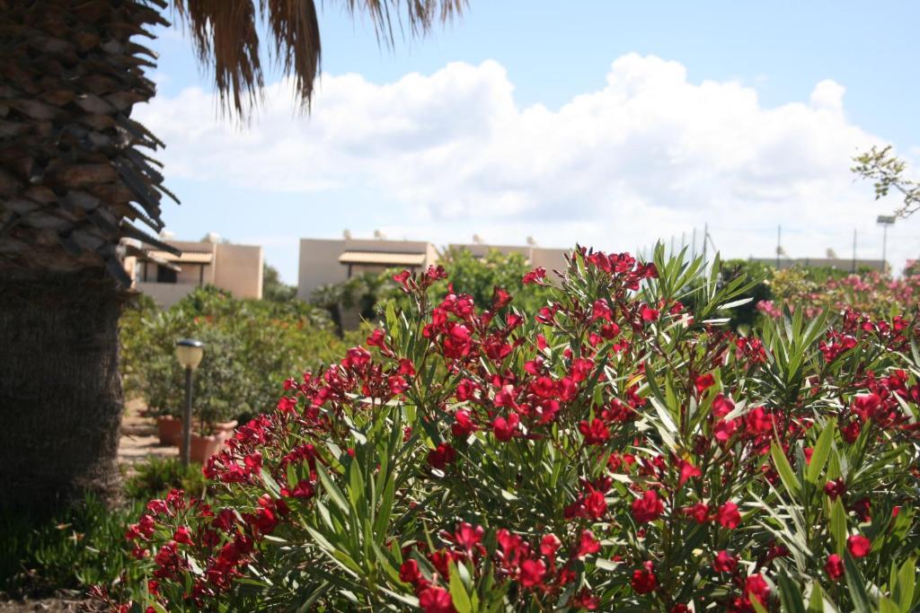 Residence Punta Longa Favignana Exteriör bild