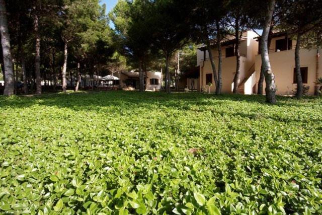 Residence Punta Longa Favignana Exteriör bild